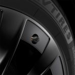 Universal Tire Valve Stem Cap | VS100 - Image 11
