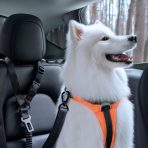 Pet Car Seatbelt Tether - Image 8