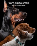 Tough Armor IP Pet Collar - Image 7