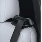 Backseat Seatbelt Guide